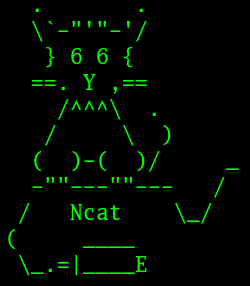 netcat.png