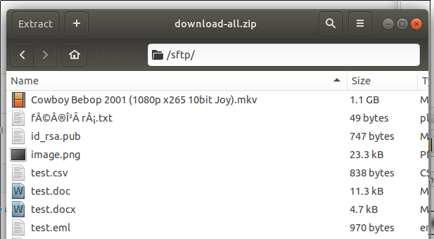 non-ascii-zip.png