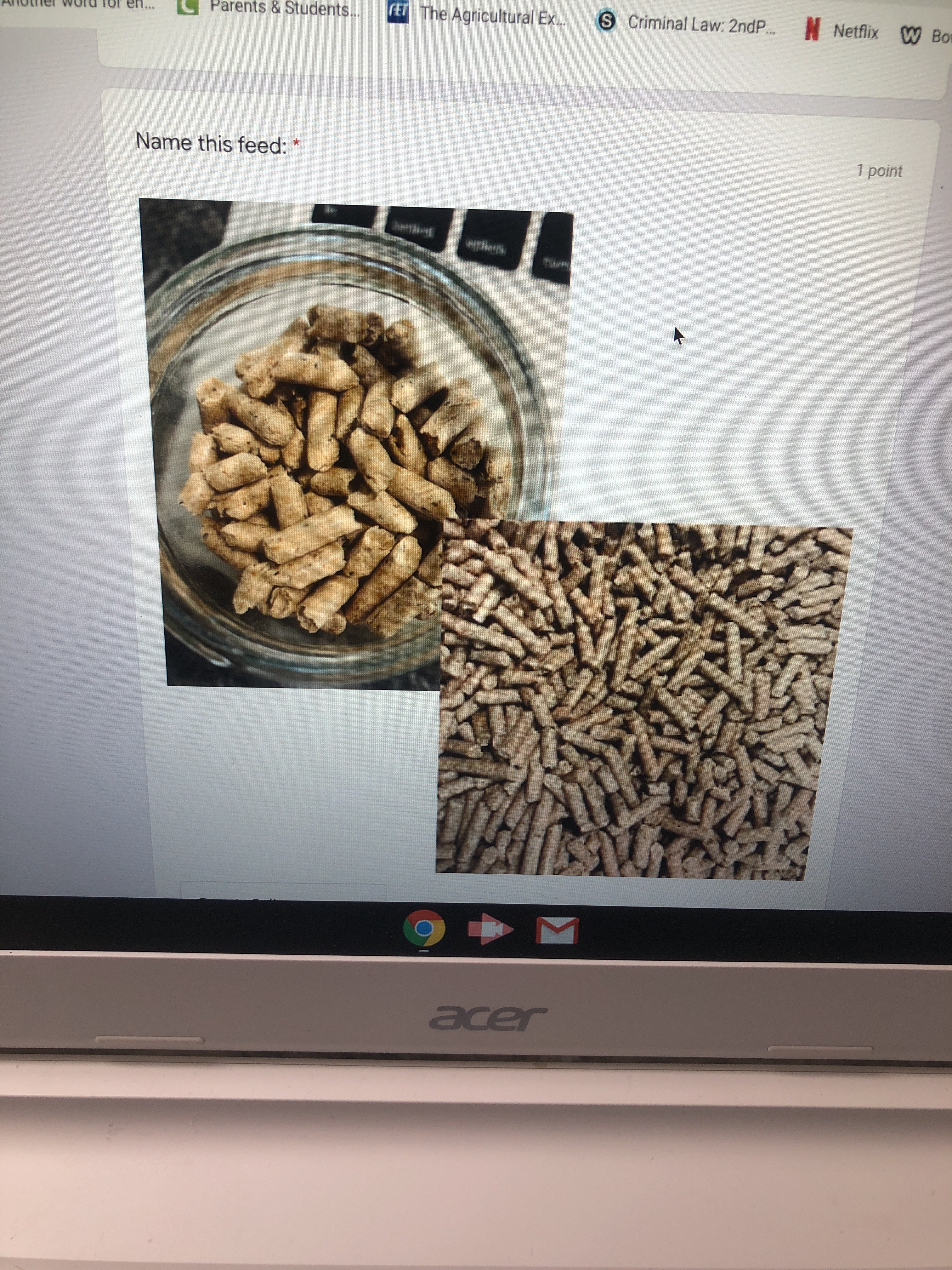 file.jpg
