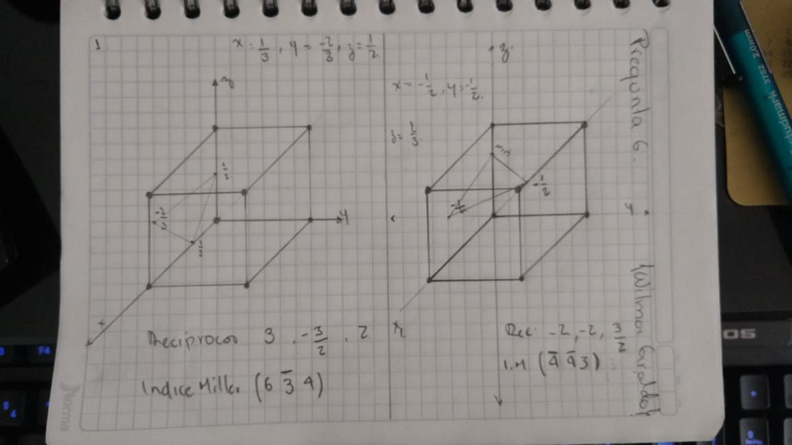 Punto 6