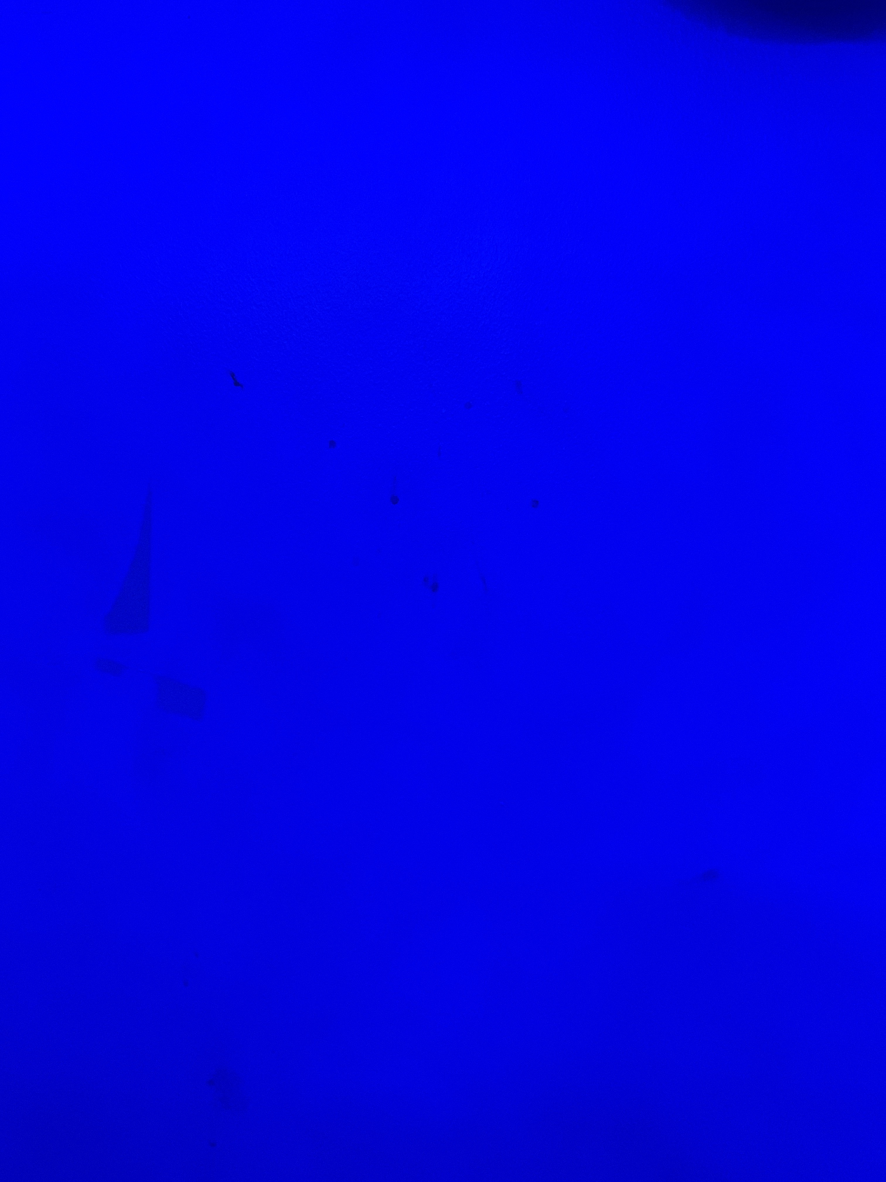 file.jpg