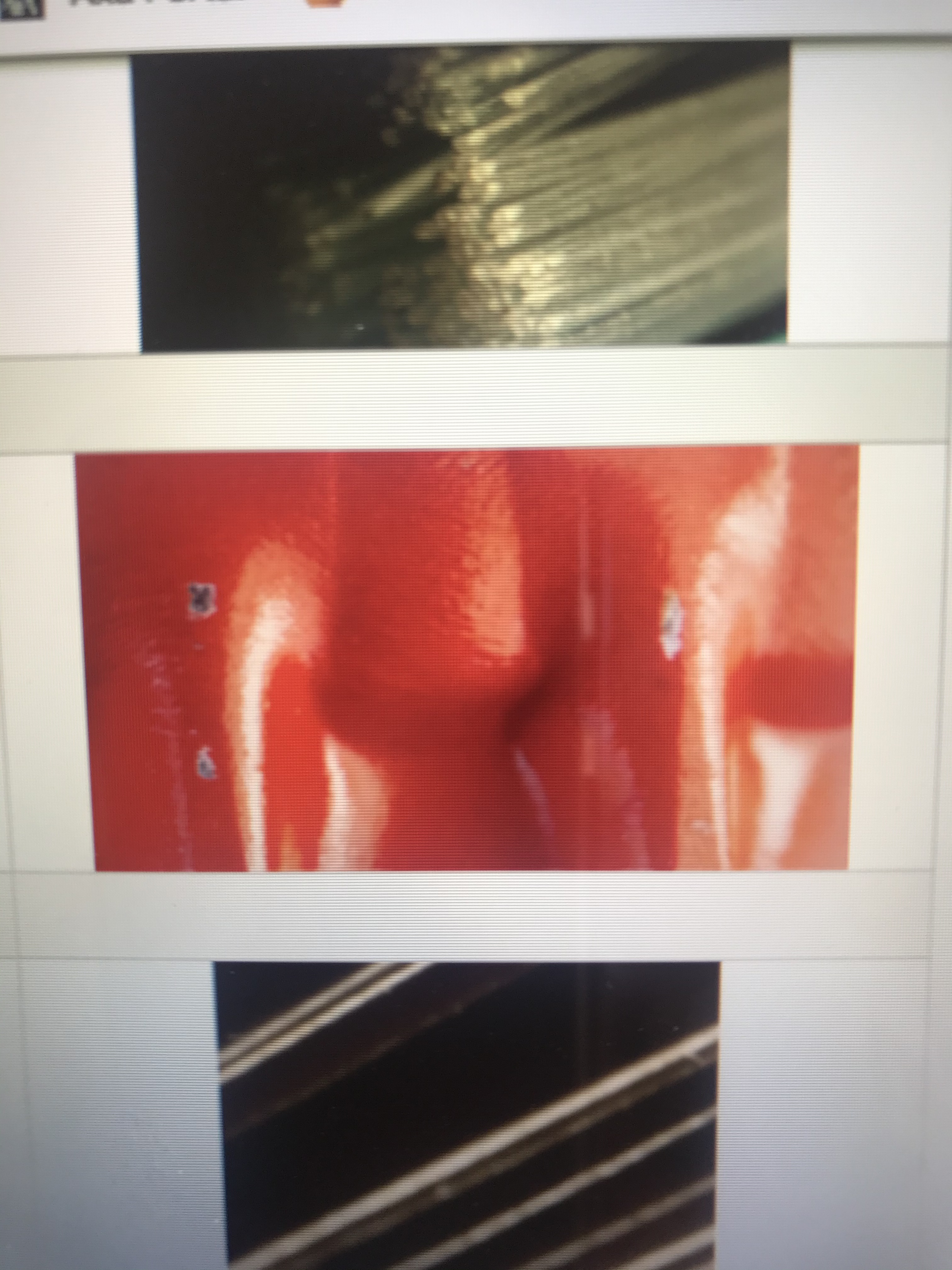 file.jpg