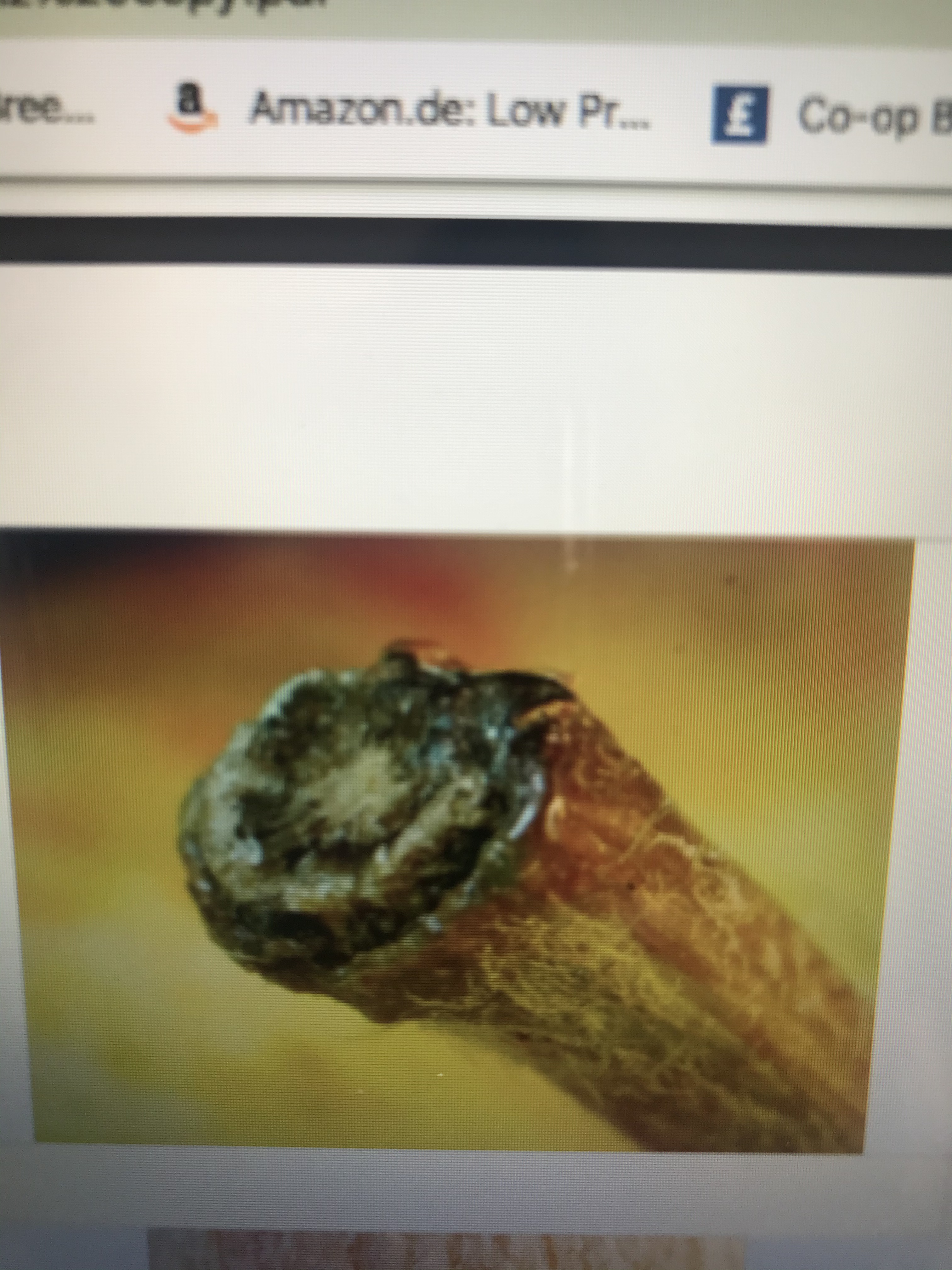 file.jpg