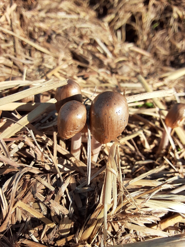 file.jpg