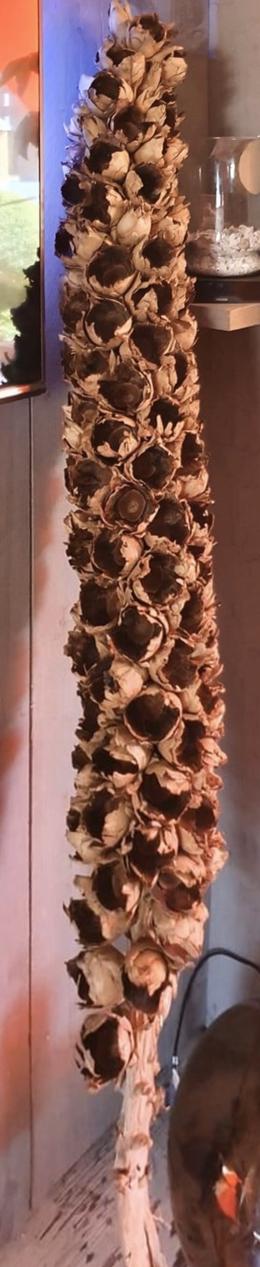 file.jpg