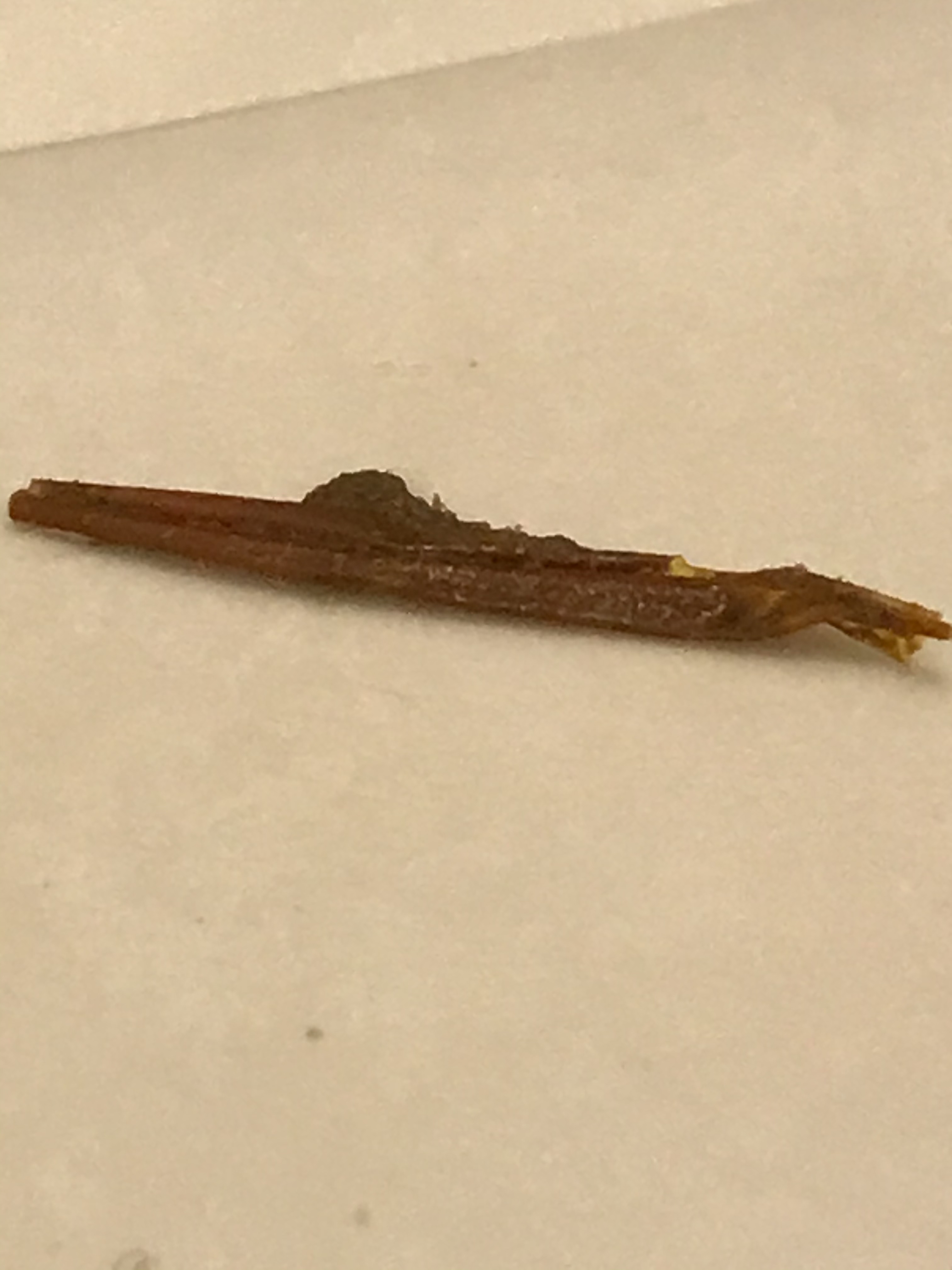 file.jpg
