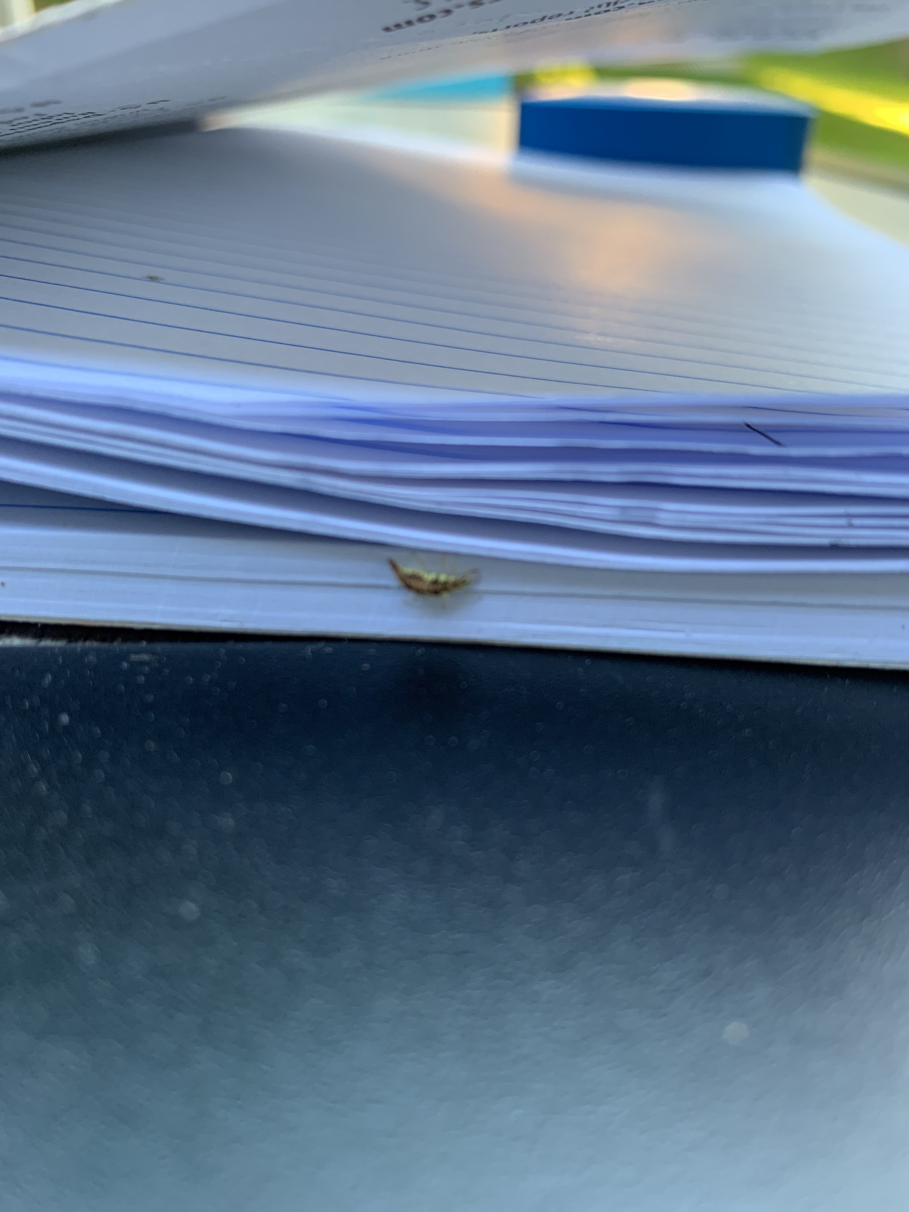 file.jpg