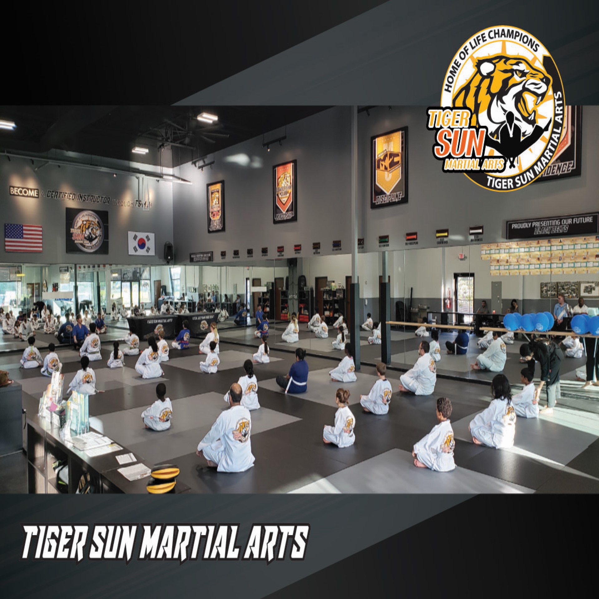 TIGER SUN MARTIAL ARTS FRISCO / KARATE TAEKWONDO