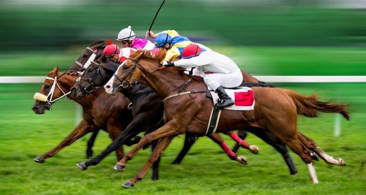 848x450_Horse-Racing-750x400.jpg