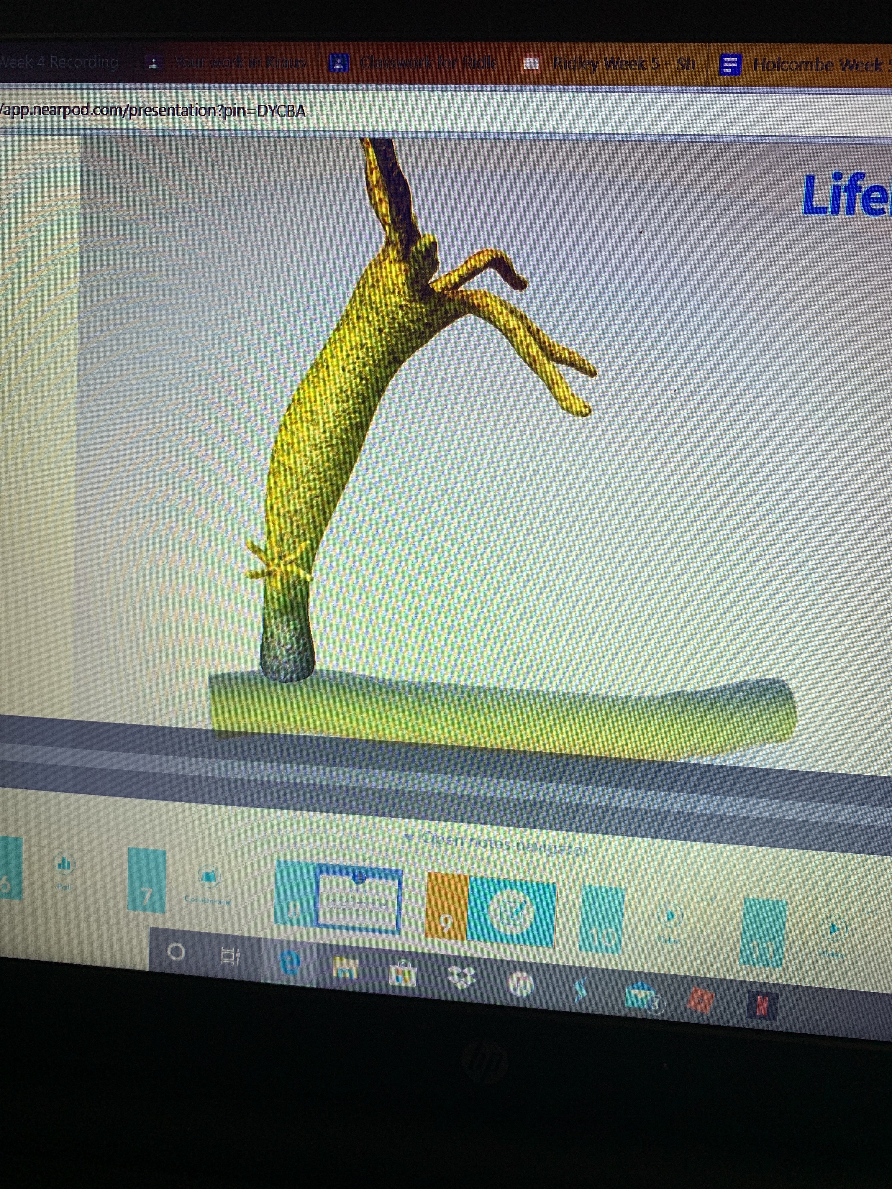 file.jpg