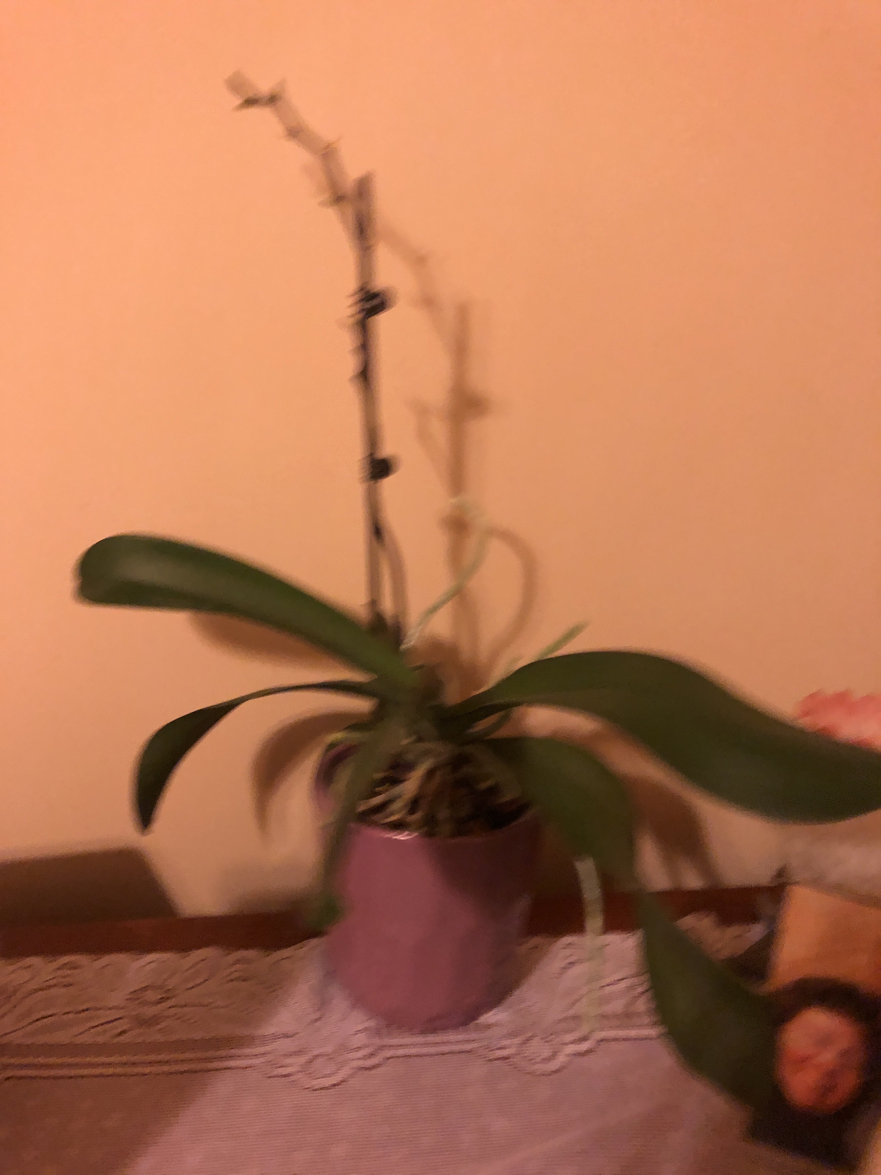file.jpg