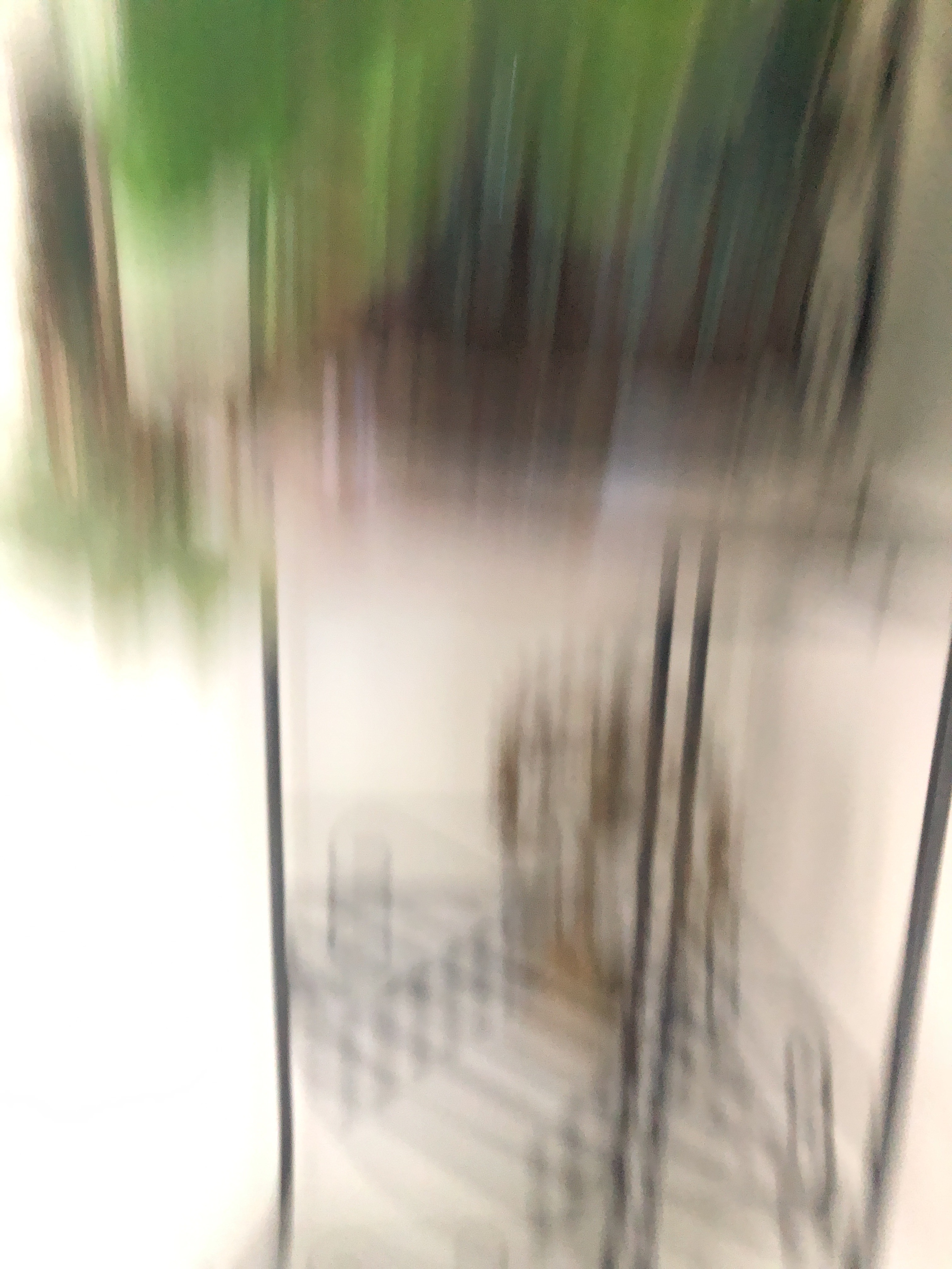 file.jpg