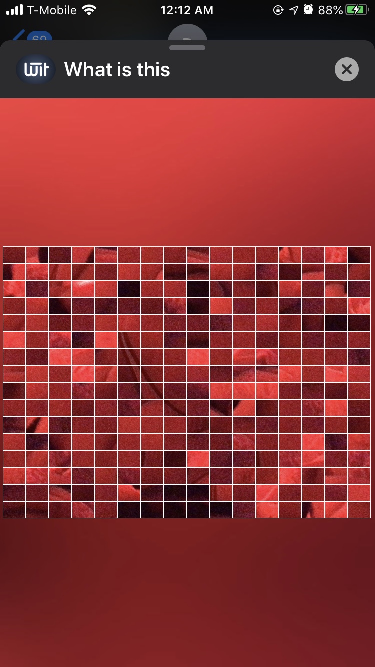 file.jpg