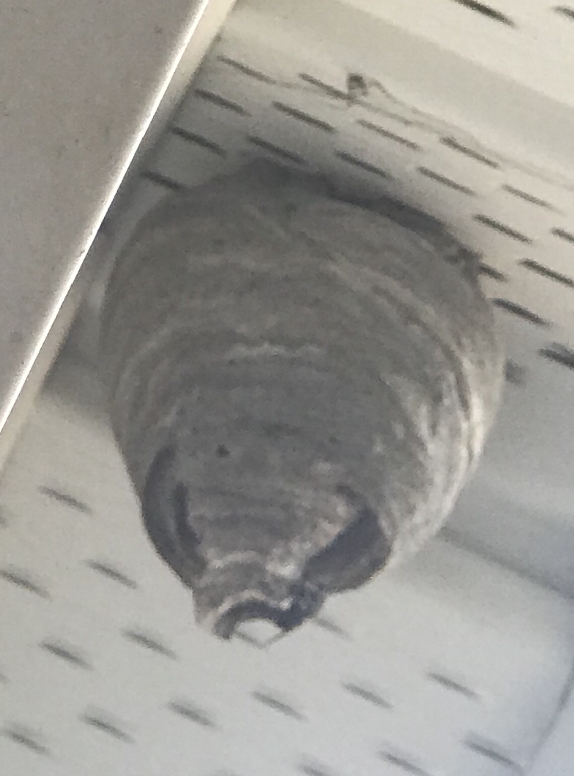 file.jpg