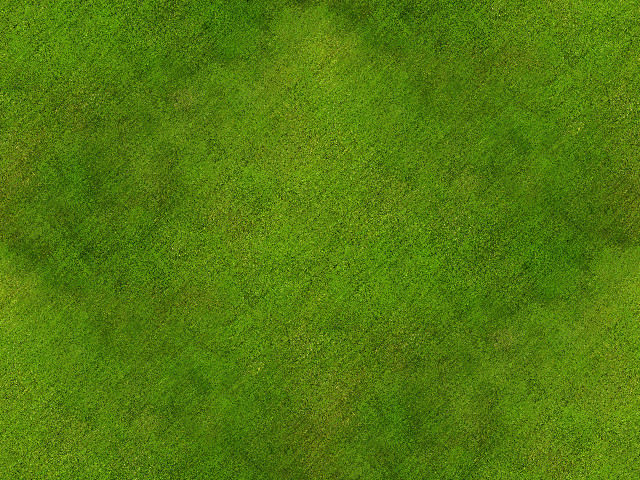 EmptyLot.jpg