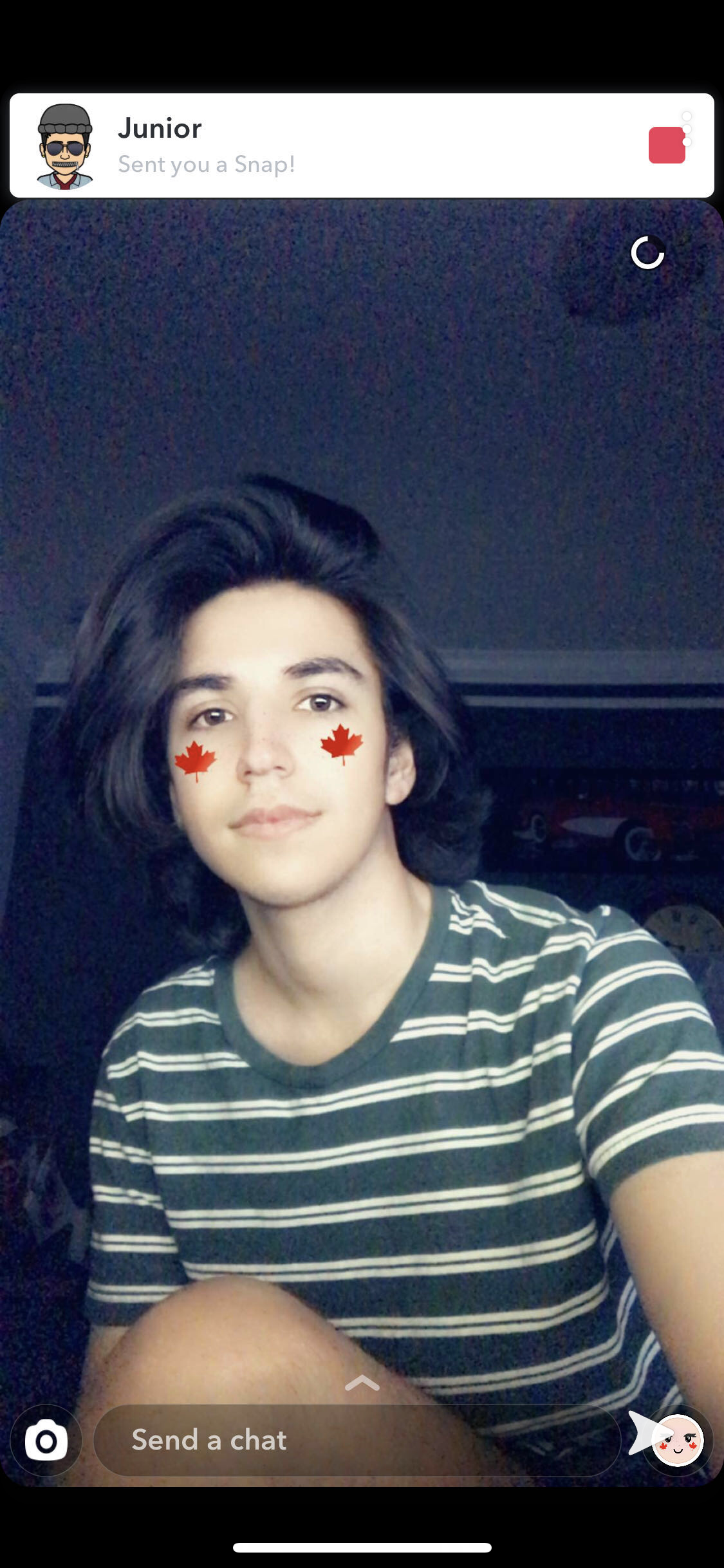 Faggot