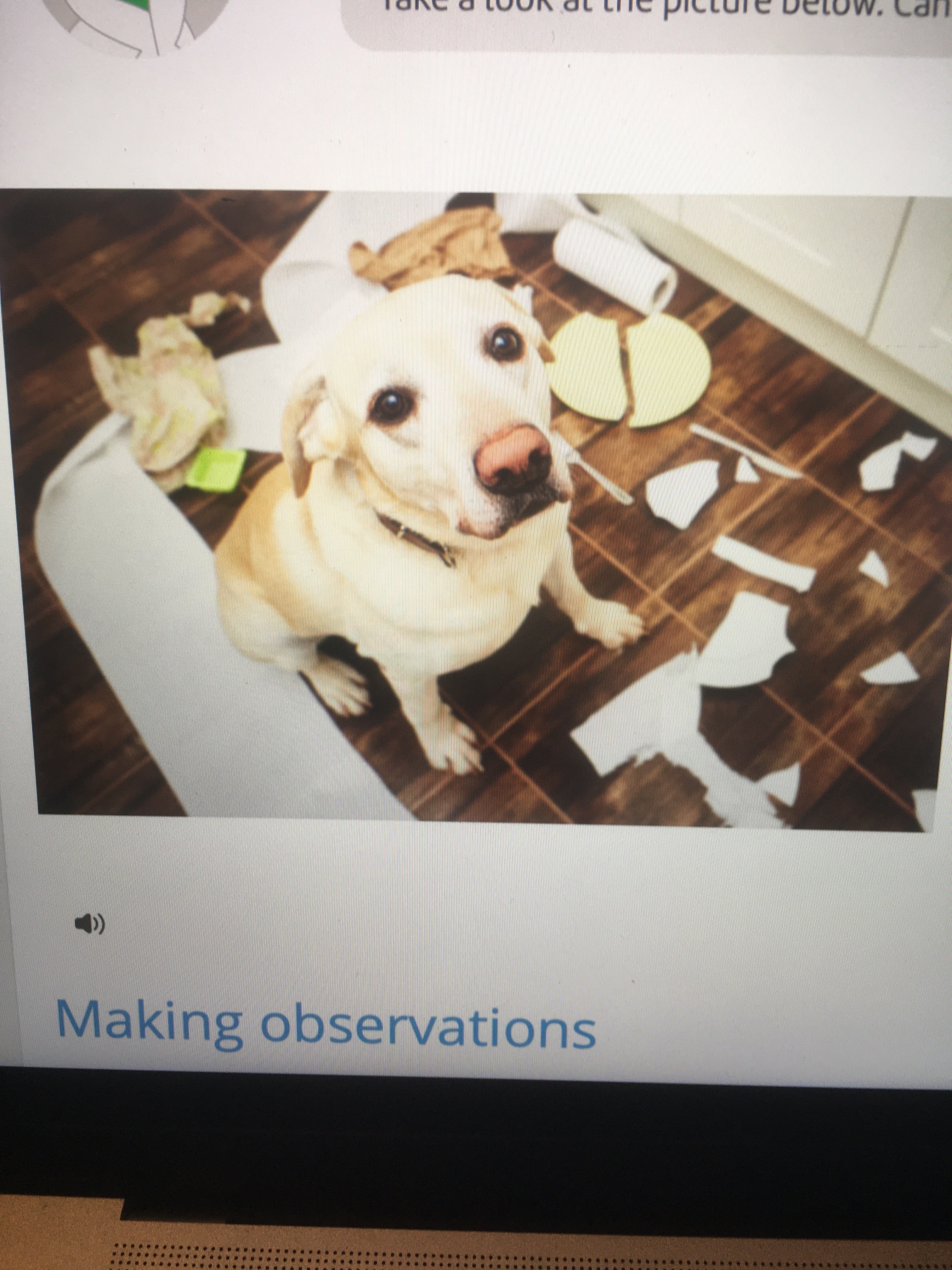 file.jpg