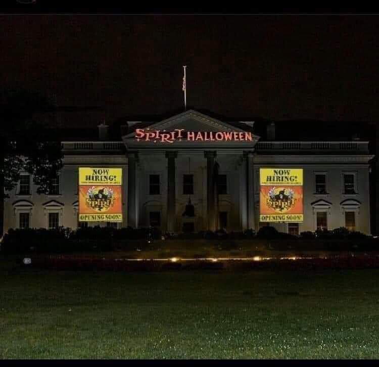 Our leaders dither