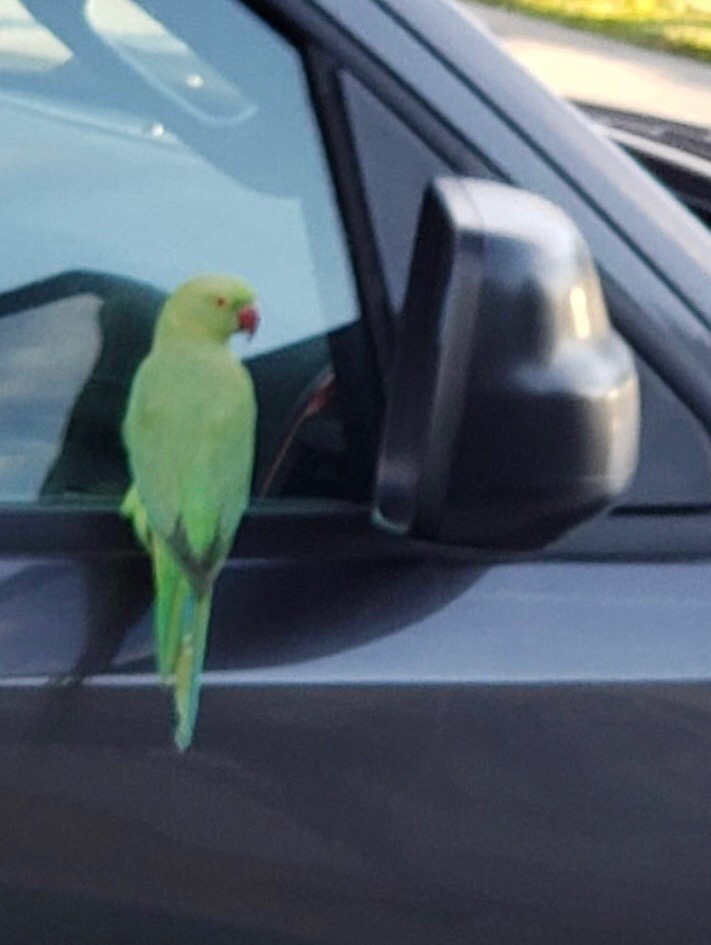 file.jpg