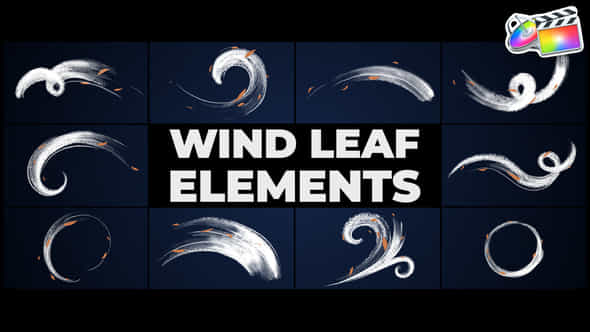 47381813-wind-leaf.jpg