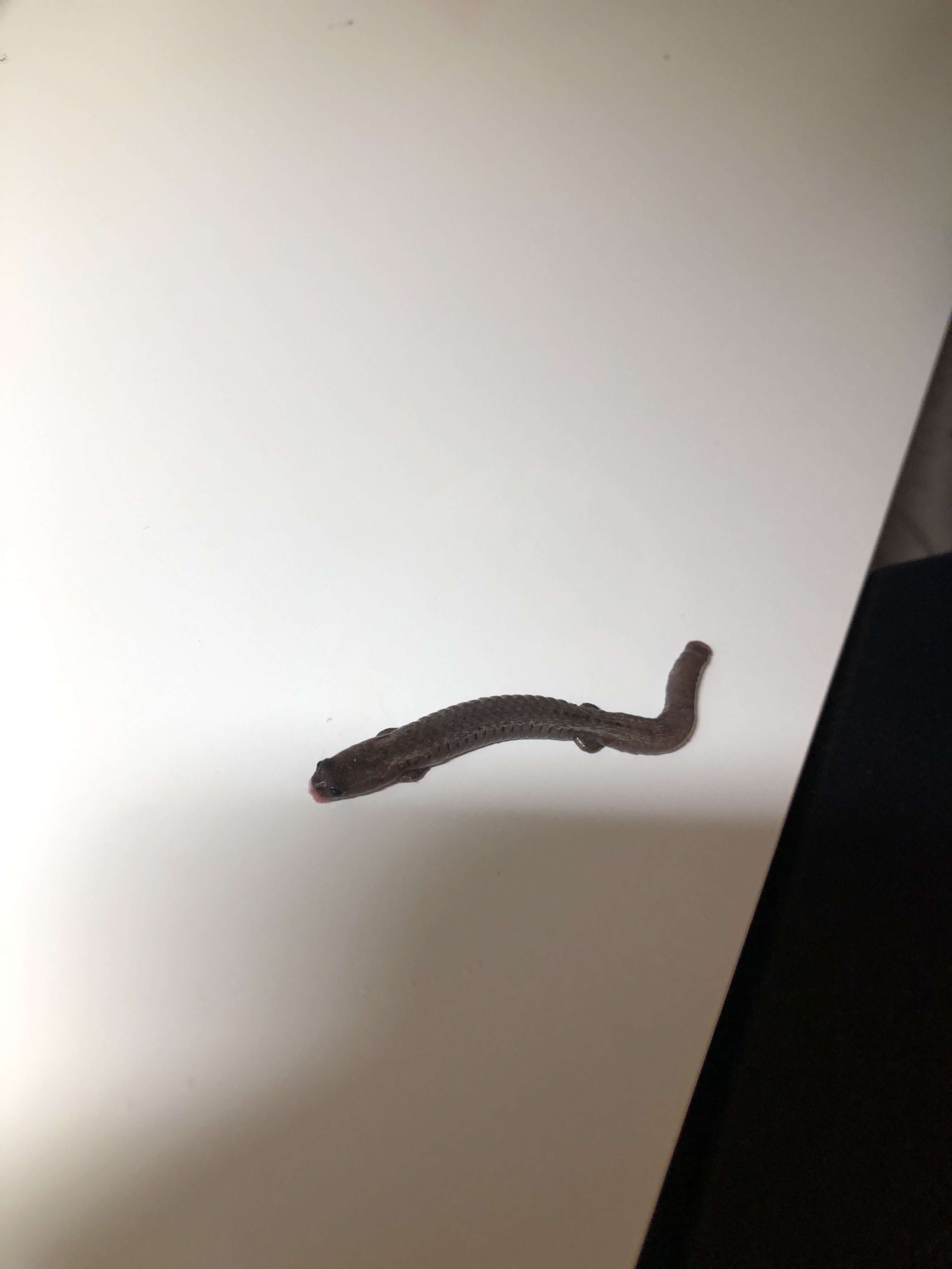 file.jpg