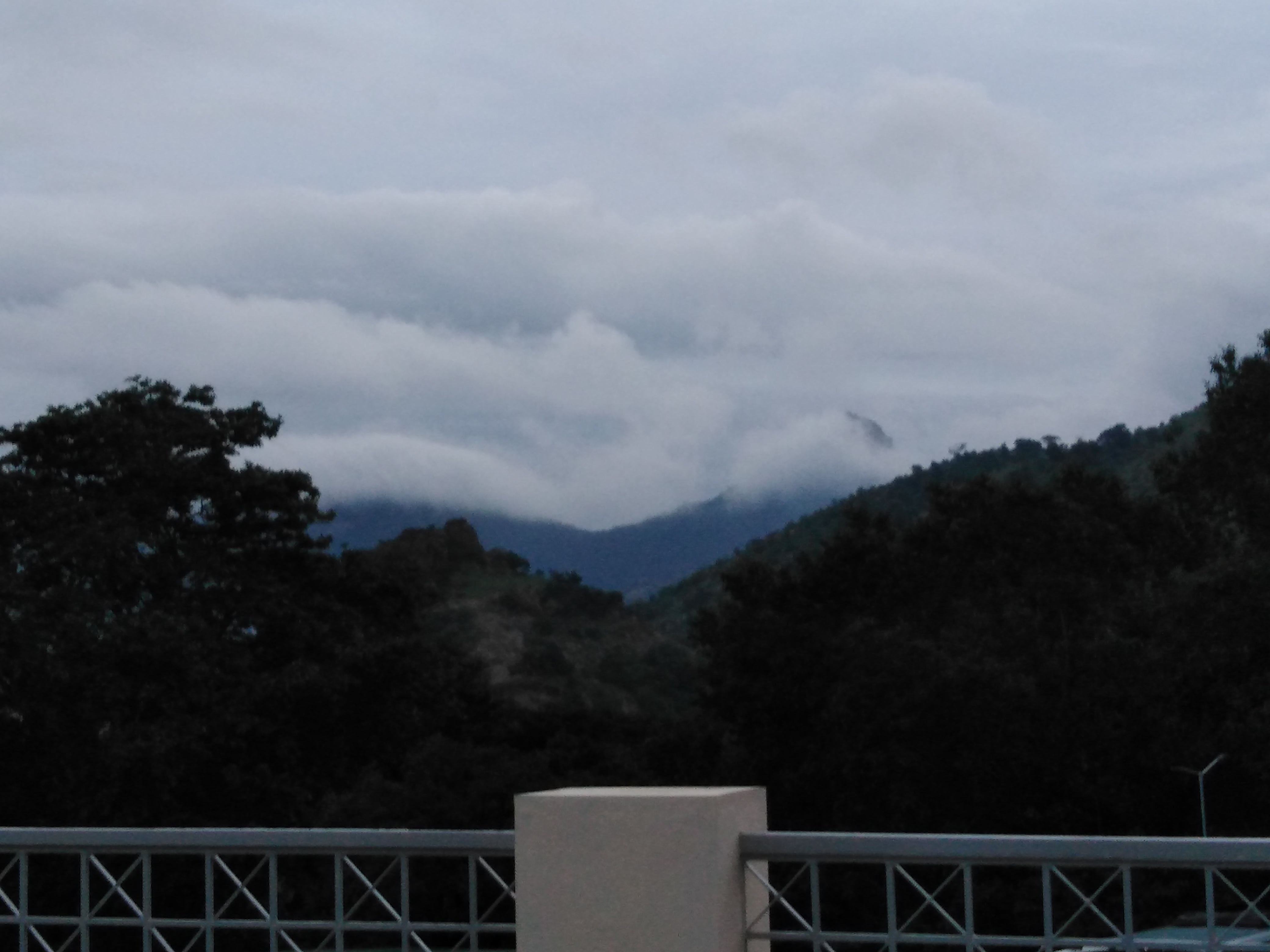 photo.jpg