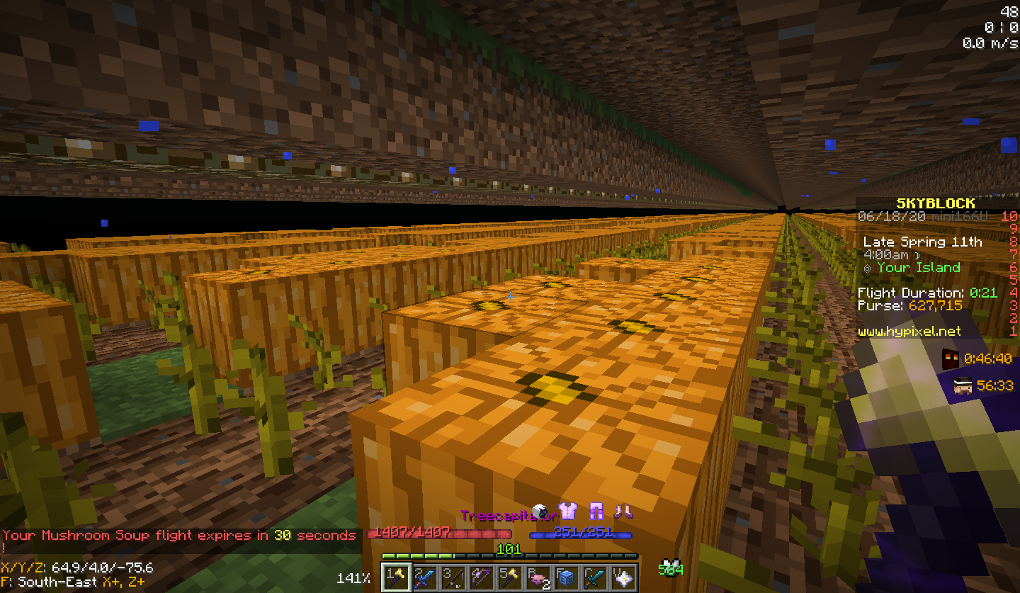 Pumkin Farm Layout