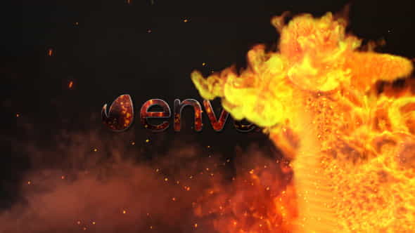 20259322-fire-dance.jpg