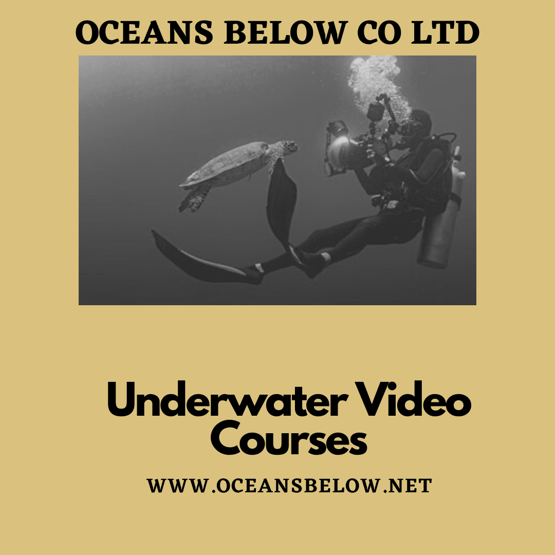 Underwater Video Courses