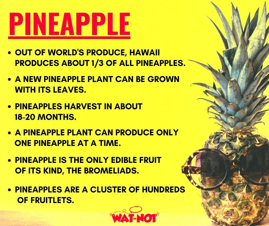 A Super Easy Pineapple Smoothie Recipe