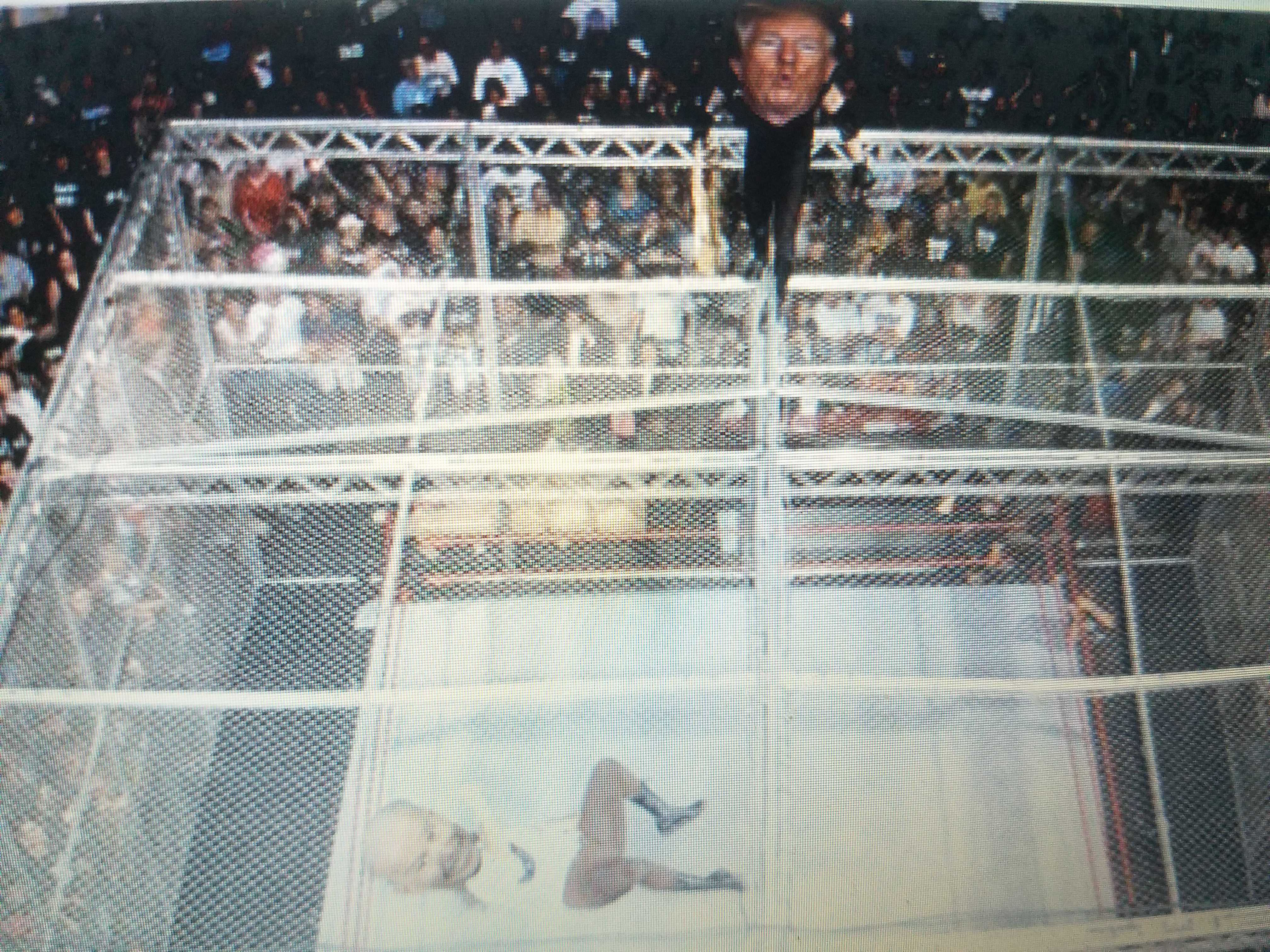 Cell In A Hells - Match of the Century