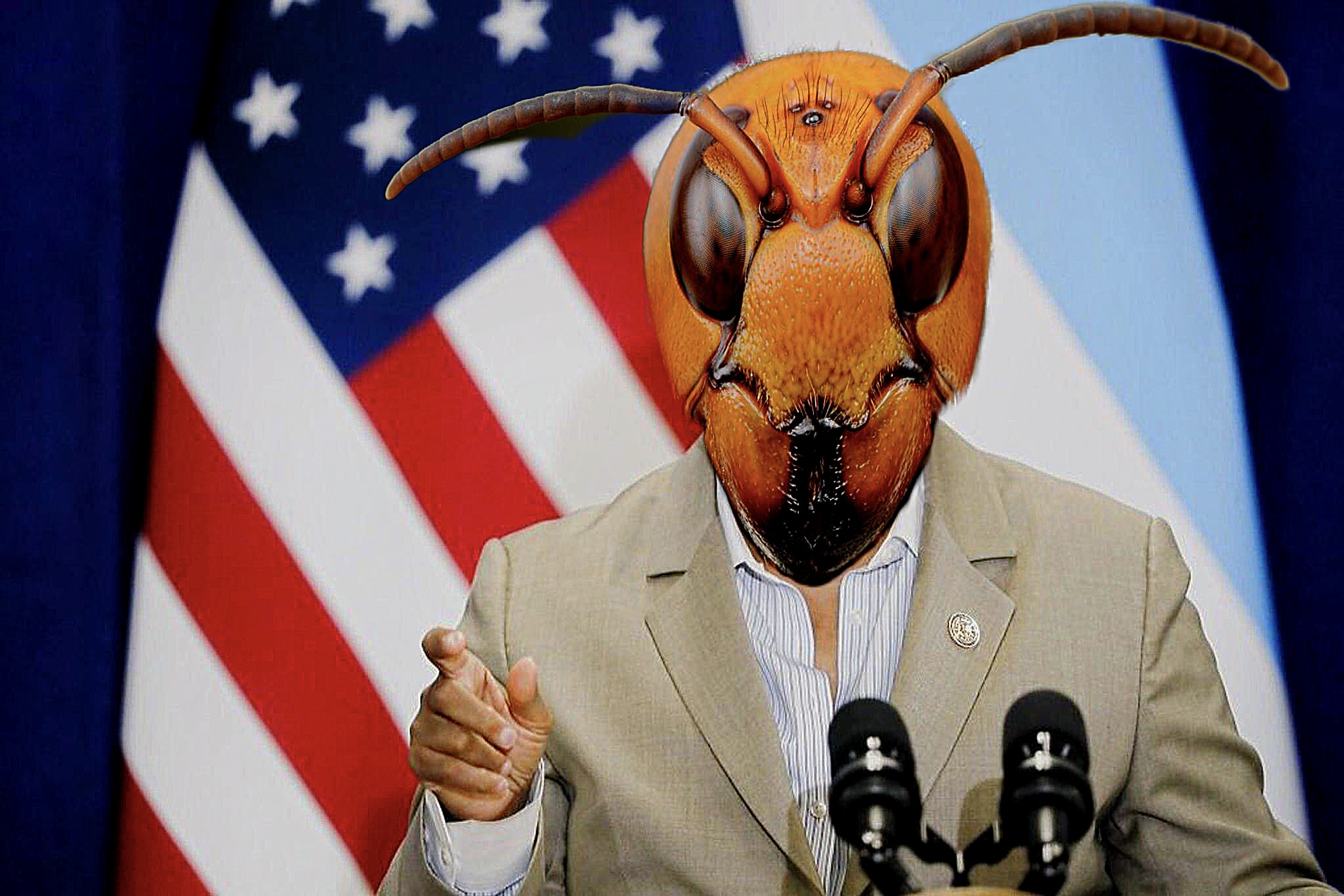 Mayor Murder Hornet