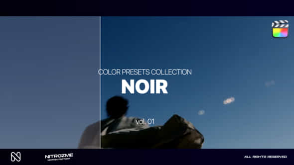 47794900-noir-lut.jpg