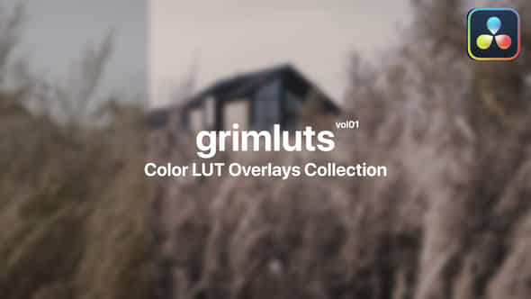 47728696-grim-color.jpg