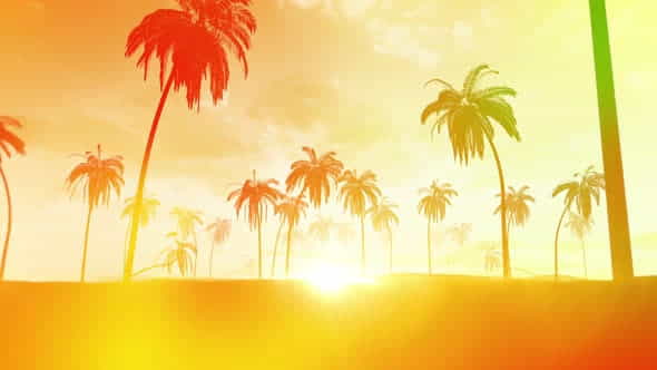 26643508-summer-sunset.jpg