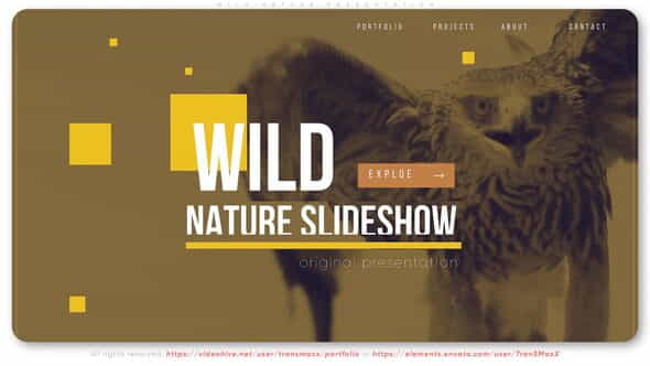 27125012-wild-nature.jpg