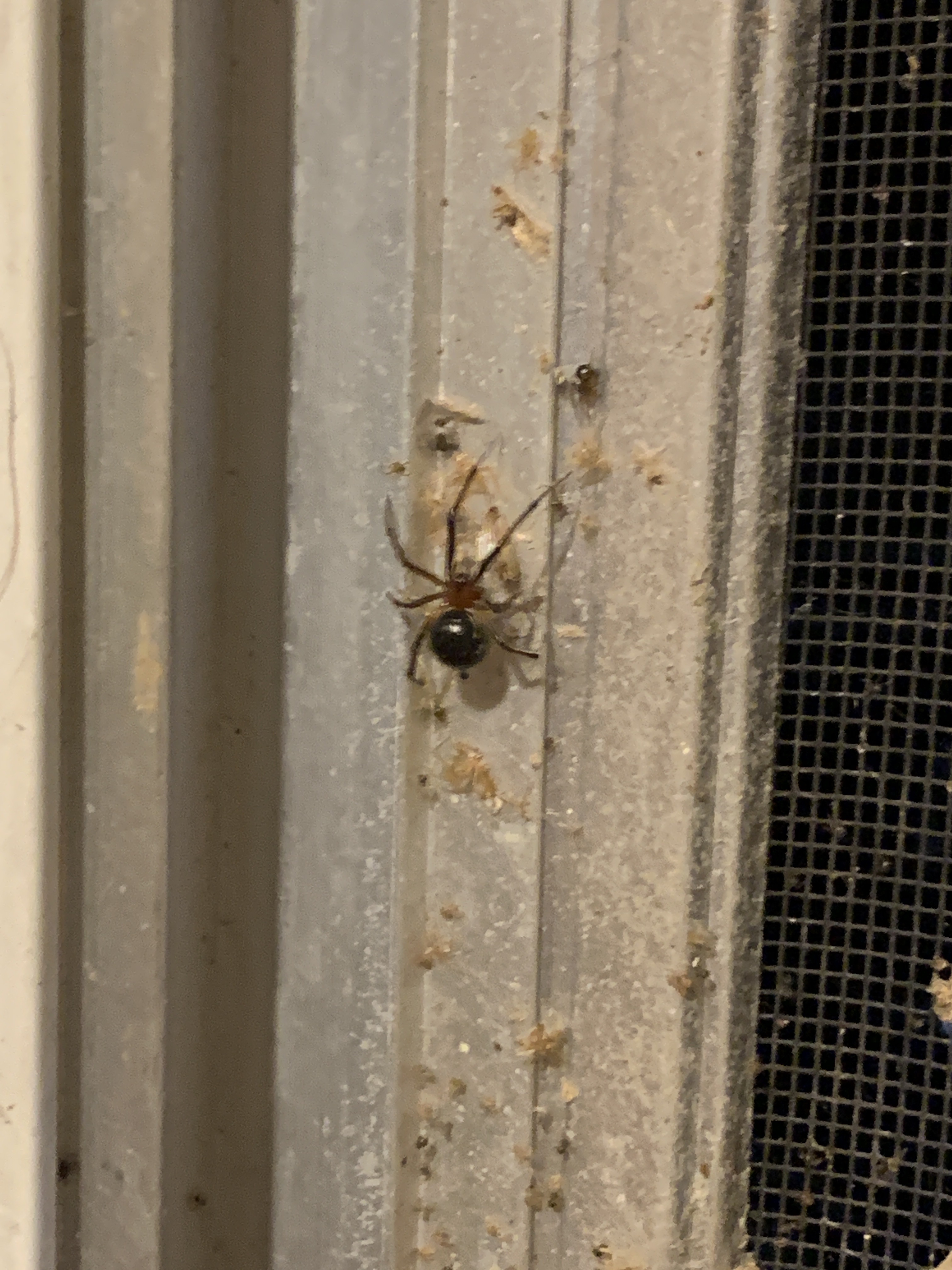 file.jpg