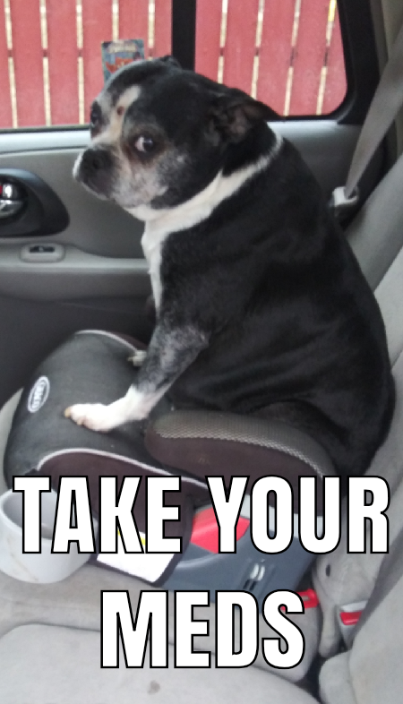 Mematic_meme_20200224_1713431.png