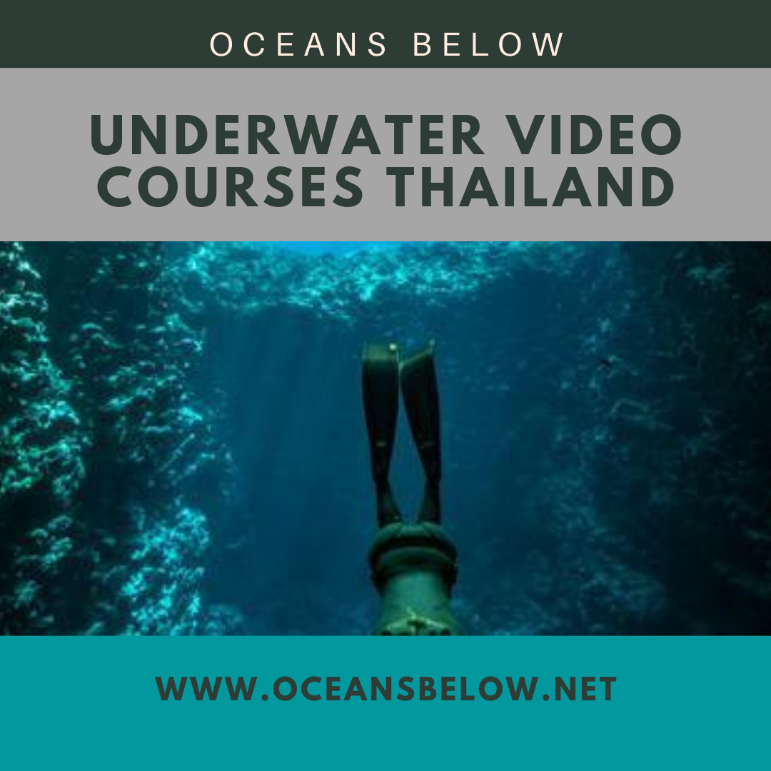 Underwater Video Courses Thailand