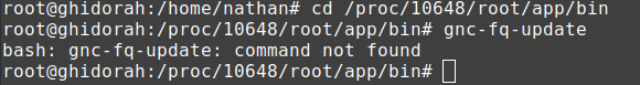 root shell