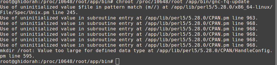 Root Shell 2