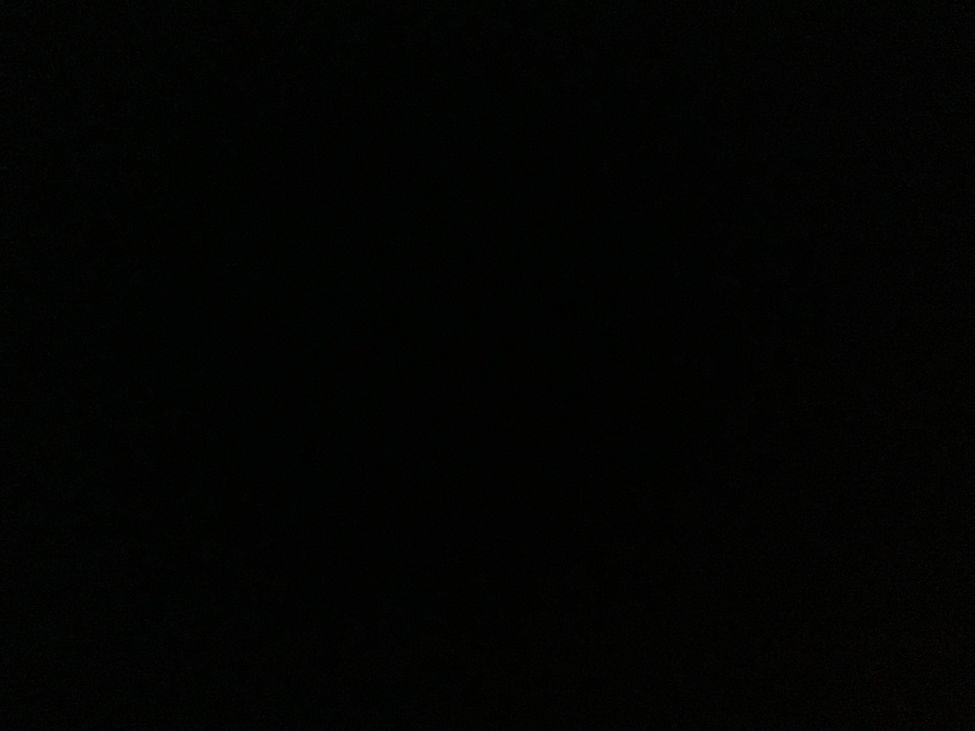 file.jpg