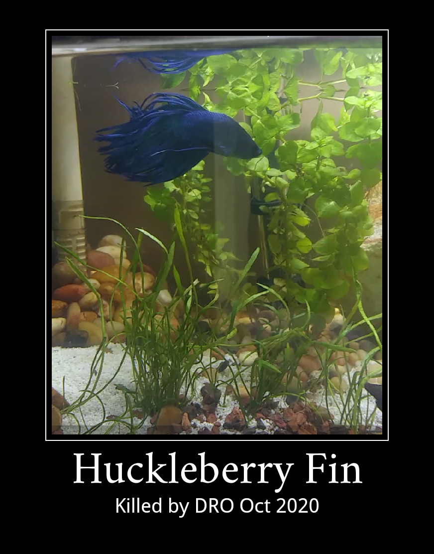 Mematic_meme_20201013_1147012.png
