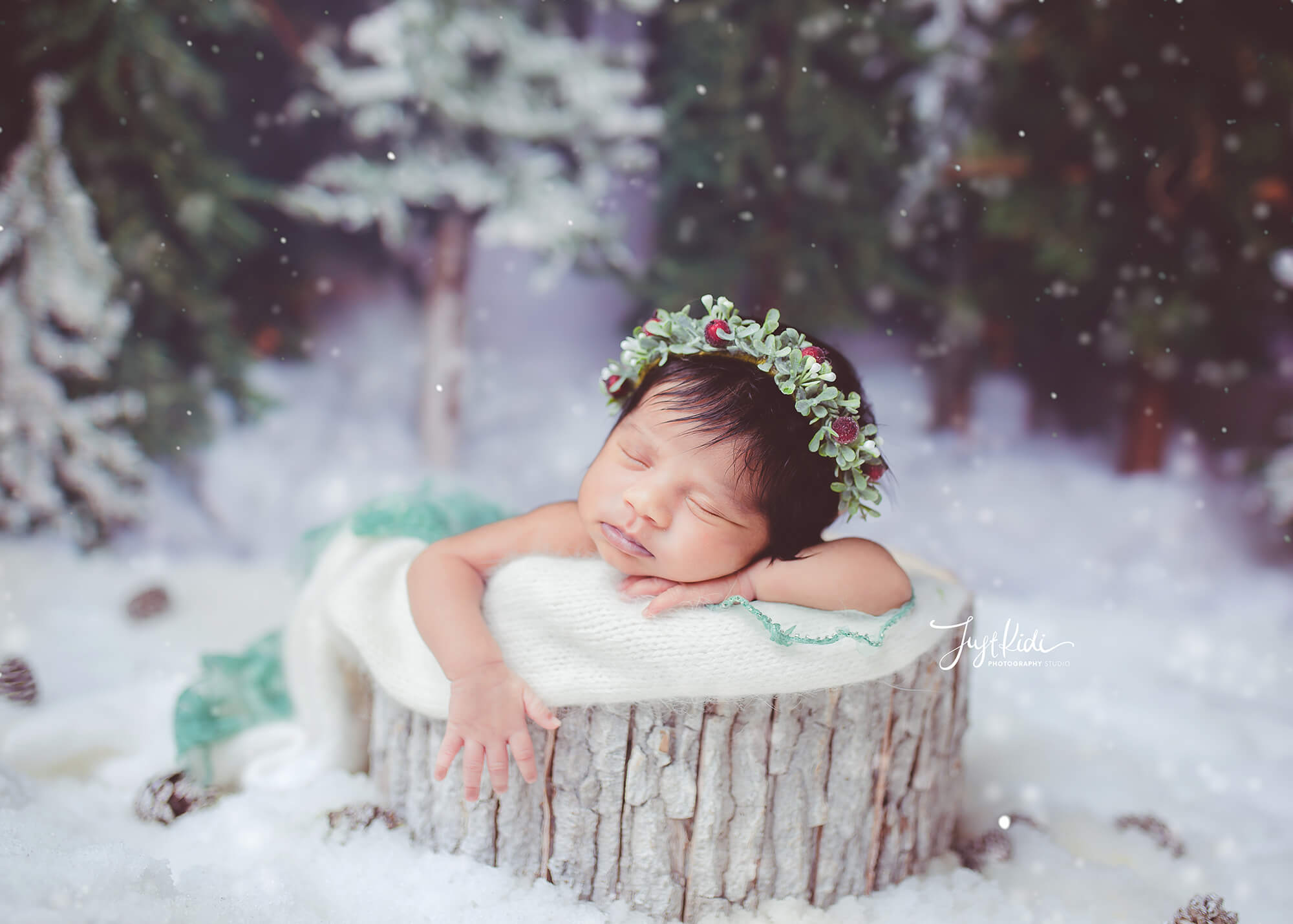 JustKidi Newborn and Baby Photography Studio