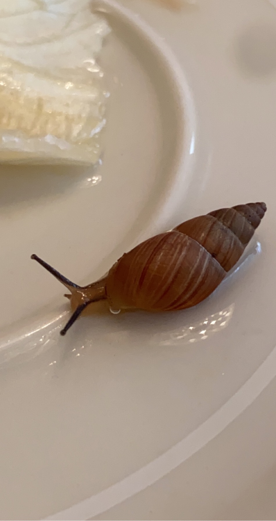 file.jpg