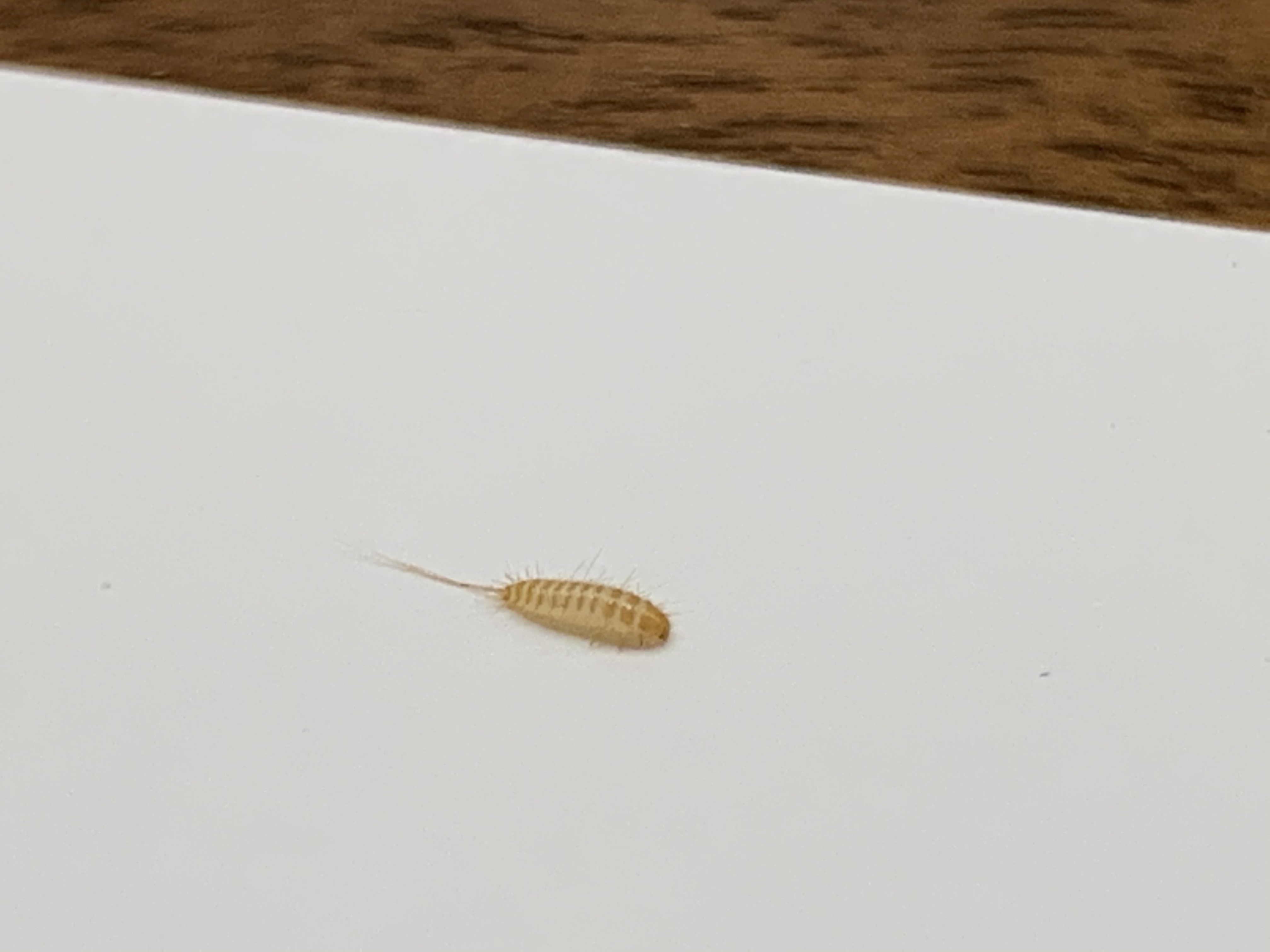 file.jpg