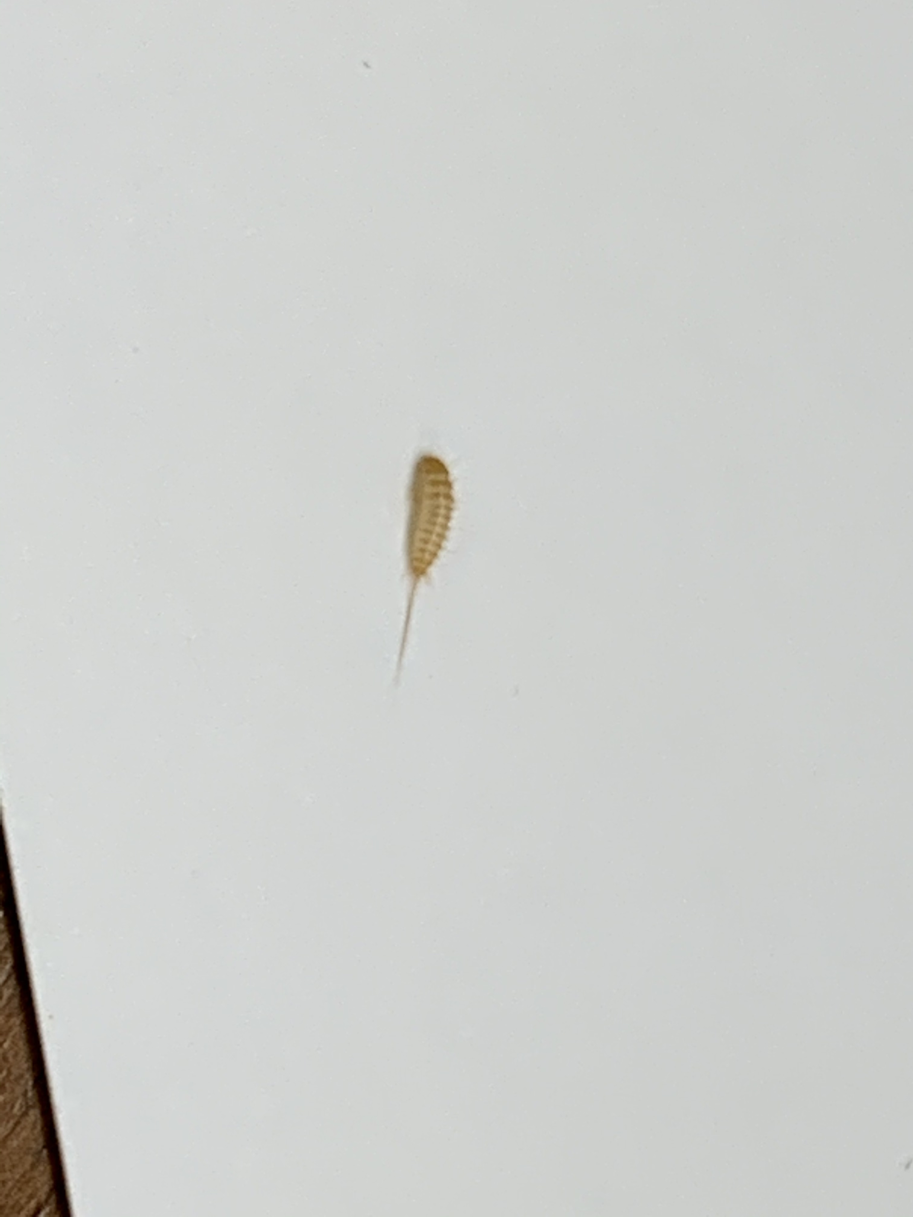 file.jpg