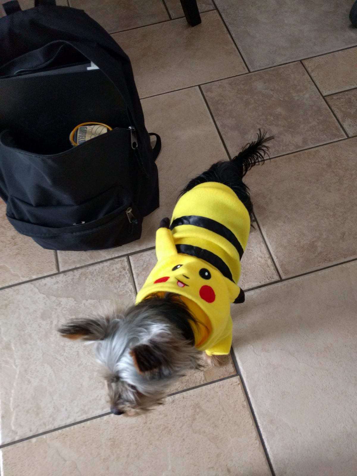 haloween