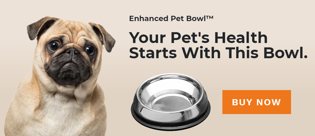 Dog bowl