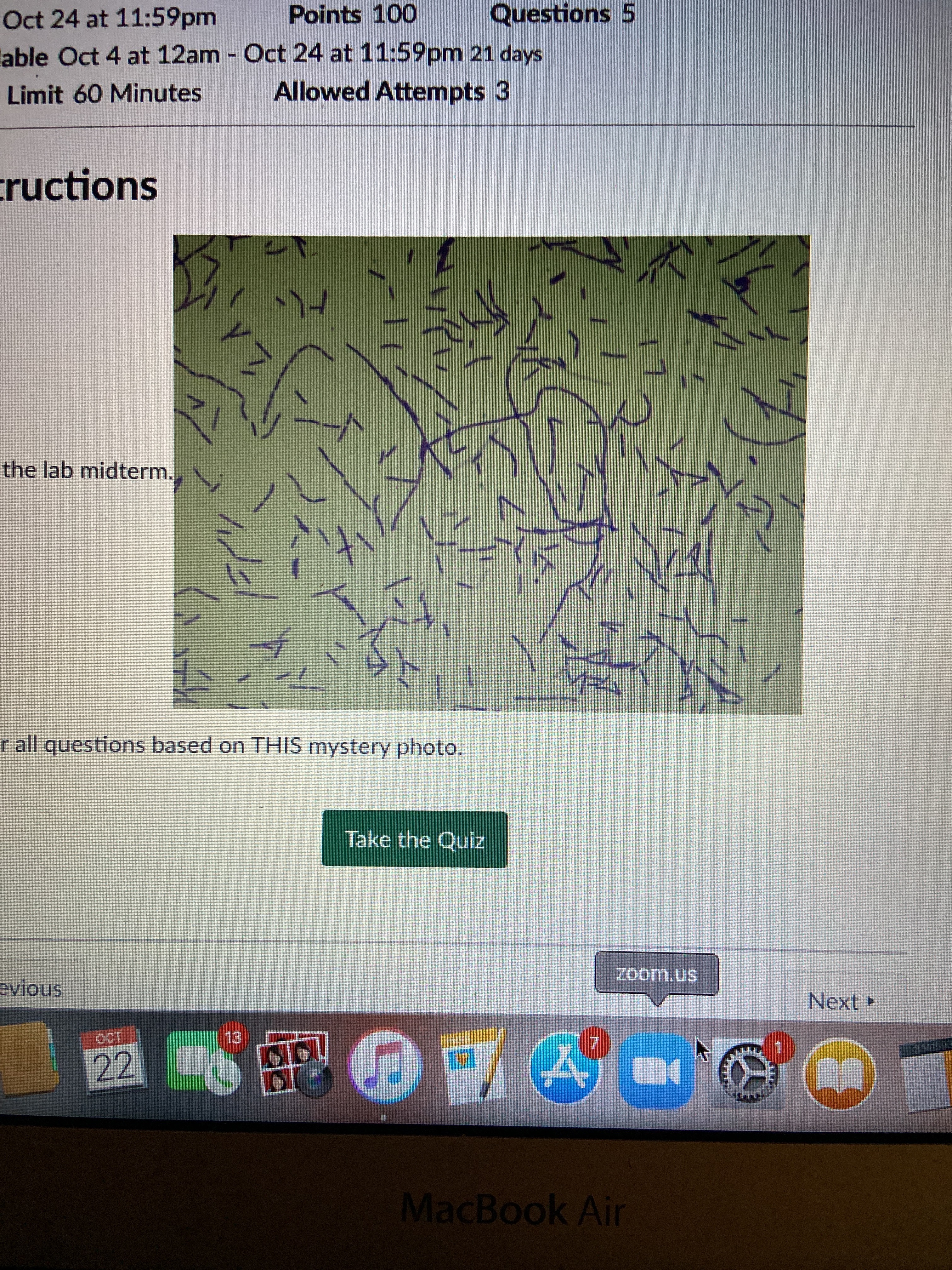 file.jpg